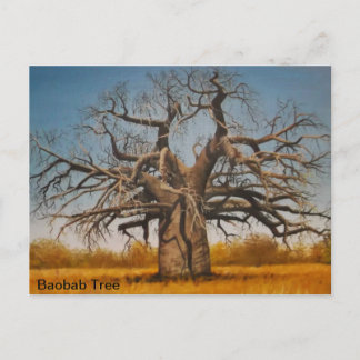 Postcard Baobab Tree