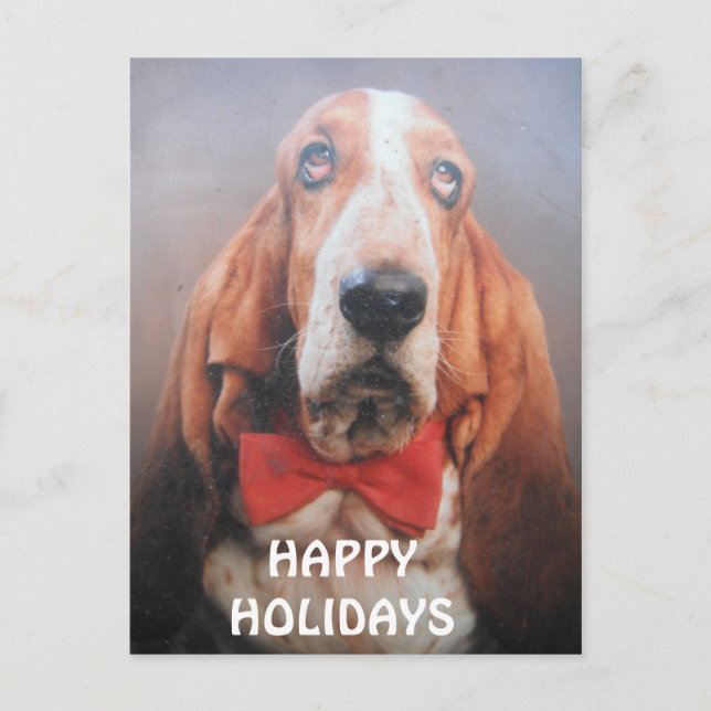 Postcard Basset Hound Happy Holidays Red Bow Tie (Front)