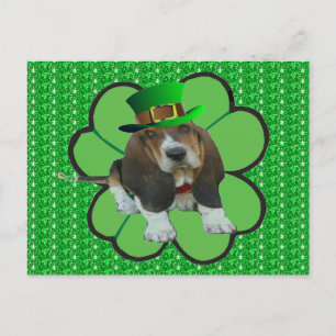 Postcard Basset Hound Happy StPatrick's Day Clover