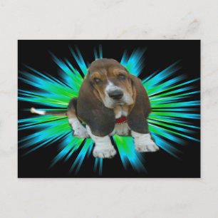 Postcard Basset Hound Sheldon