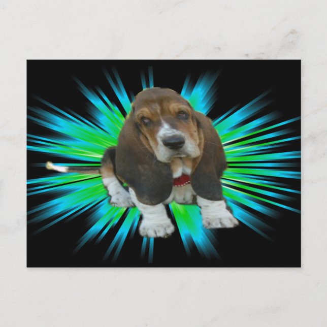 Postcard Basset Hound Sheldon (Front)