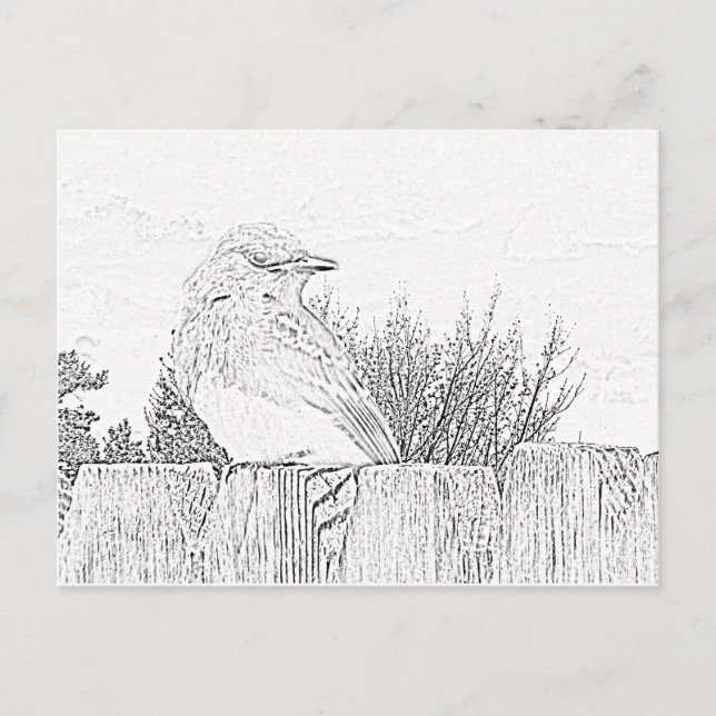 Postcard - Bird on Fence to Colour (Front)