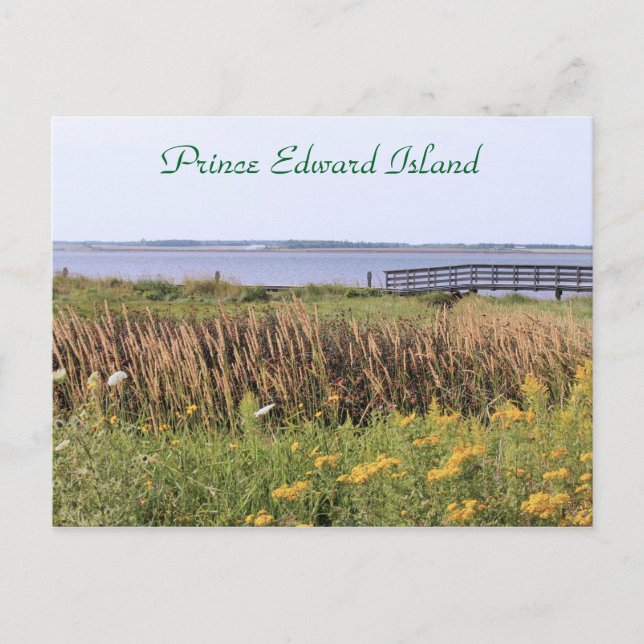 Postcard bridge, wildflowers, ocean, Prince Edward (Front)