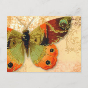 Postcard   "Butterfly"