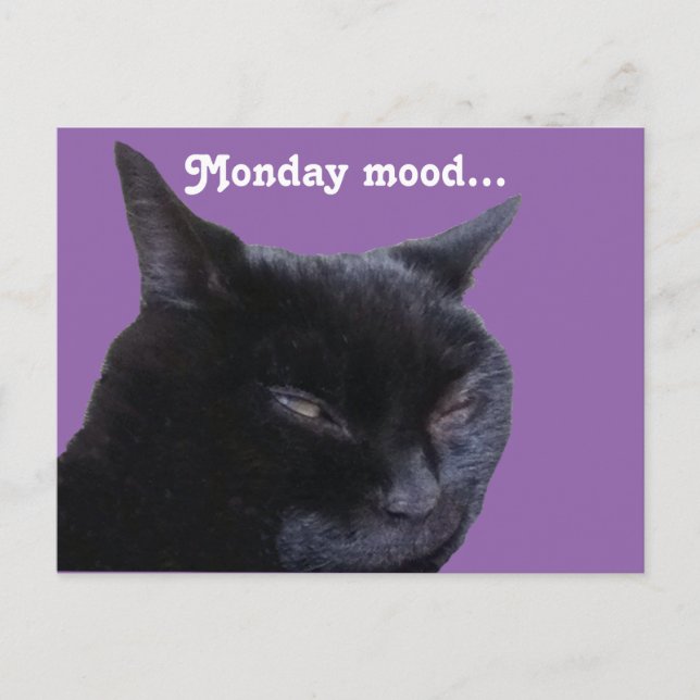 Postcard cat monday mood (Front)