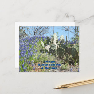 Postcard Country Texas Bluebonnets and Cactus