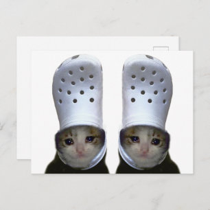 Postcard Crying Cat Croc Hat Meme