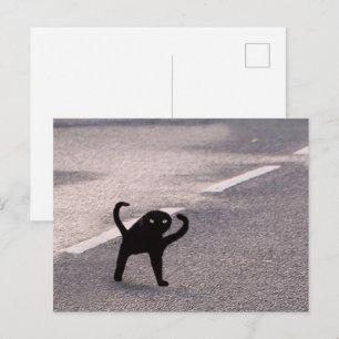 Postcard Cursed Cat Meme