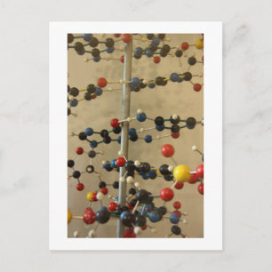 Postcard DNA model