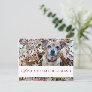 Postcard Dogn Photography