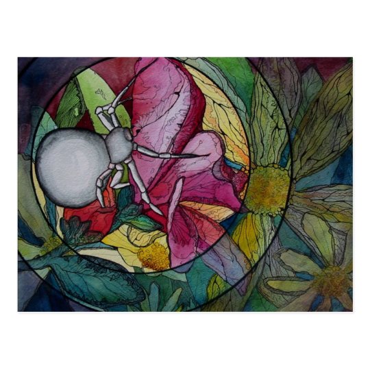 Postcard: "Flower Spider" Postcard