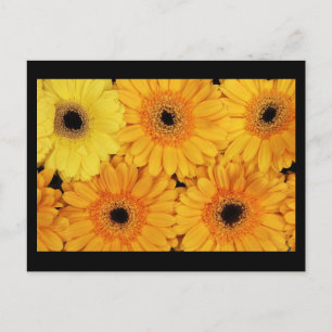 Postcard-Flowers-6 Postcard