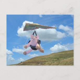 Postcard - Flying Pig not Impossible