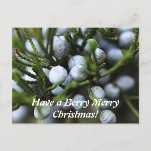Postcard for Christmas