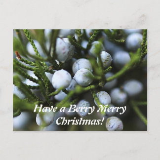 Postcard for Christmas