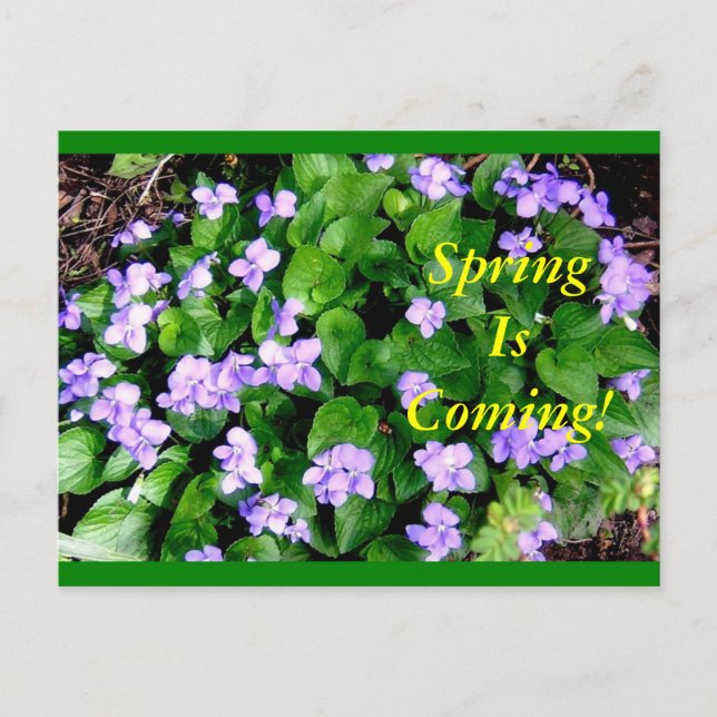Postcard for Spring (Front)