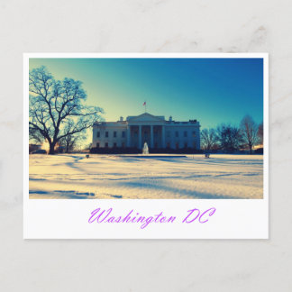 Postcard For White House