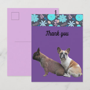Postcard französische Bulldoggen Dankeschön