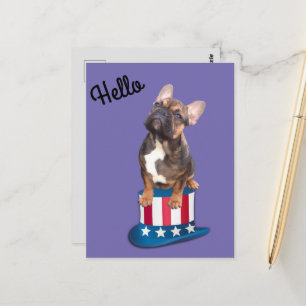 postcard French Bulldogge