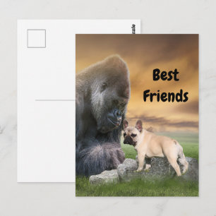 postcard French Bulldogge and others. gorilla