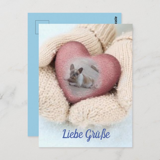 Postcard French Bulldogs (Front/Back)