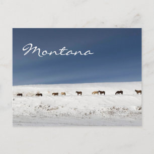 Postcard from Montana
