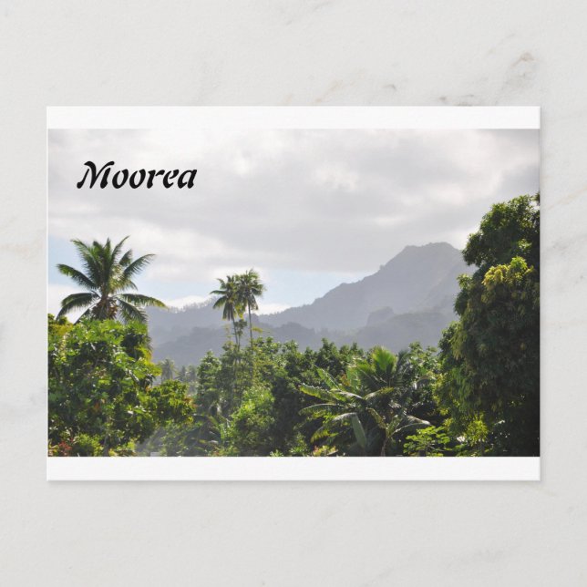 Postcard from Moorea, French Polynesia (Front)