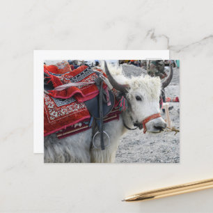 Postcard from Pongong Himalayan Mountain