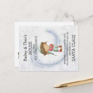 Postcard from Santa's Elf