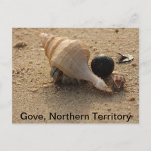 Postcard Gove