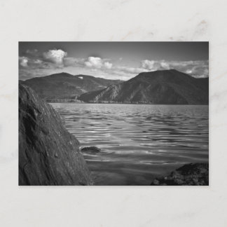 POSTCARD ~ Green Monarchs Along Lake Pend Oreille