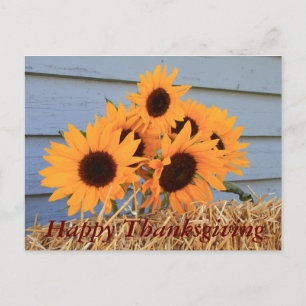 Postcard Happy Thanksgiving - sunflowers and hay