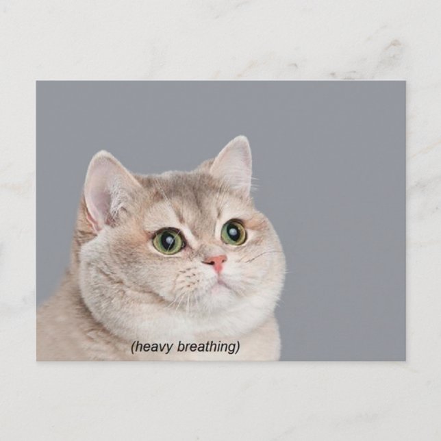 Postcard Heavy Breathing Cat Meme (Front)