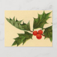 Postcard:  Holly Sprig