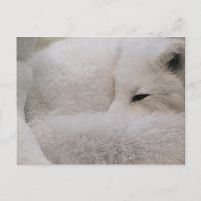 Postcard Horizontal Template - Customised (Front)