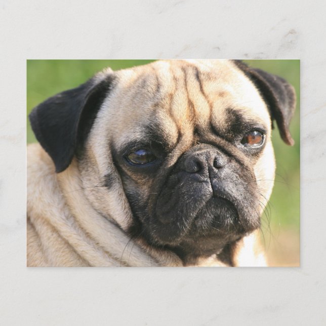 Postcard Horizontal Template - Customised (Front)