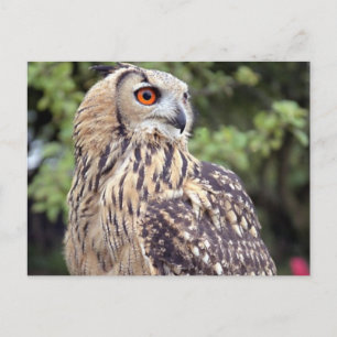 Postcard Horizontal Template - Customised