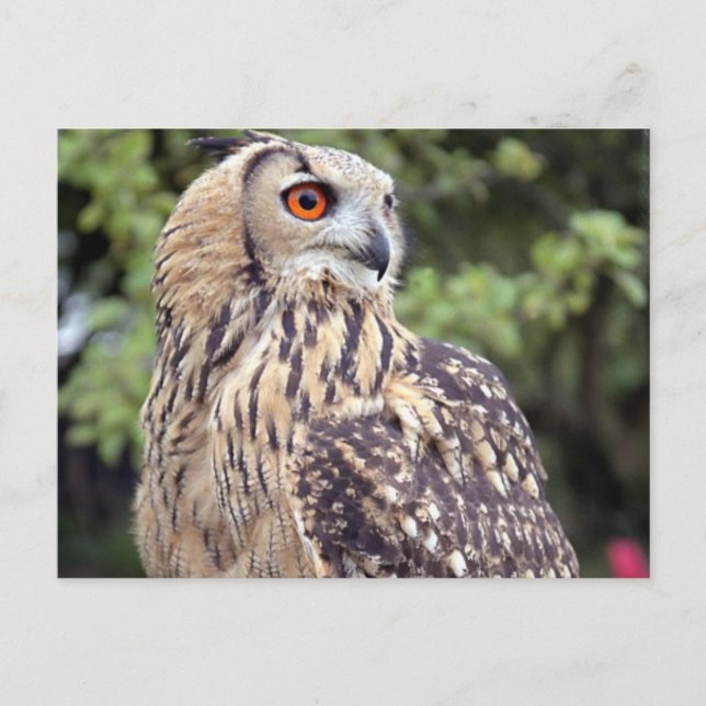 Postcard Horizontal Template - Customised (Front)