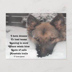 Postcard I Have Dreams Poem By Ladee Basset
