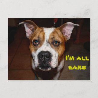 postcard i'm all ears