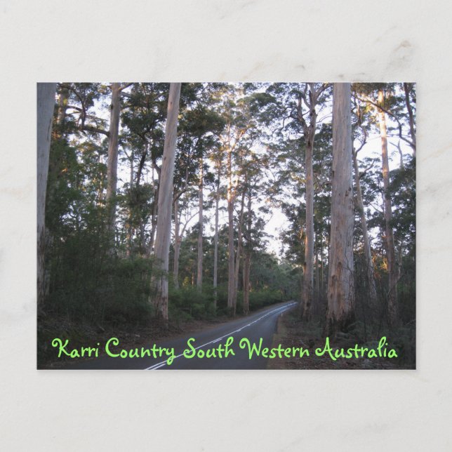POSTCARD - Karri Country South Western Australia (Front)