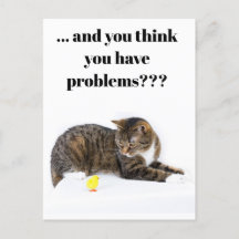 Postcard Katze schaut "Küken" an schwarzer Humour