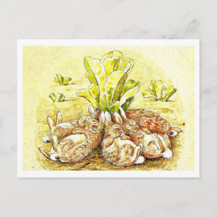 Postcard-Kids Art-Beatrix Potter 30 Postcard