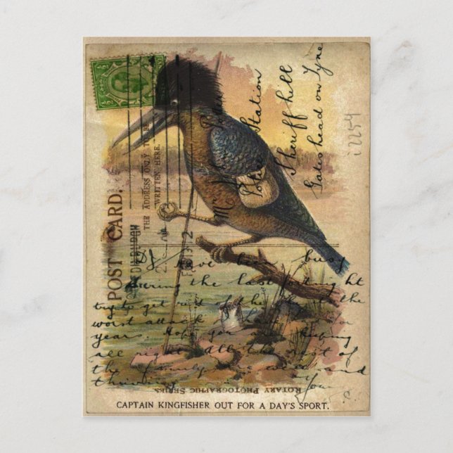 Postcard Kingfisher (Front)