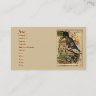 Postcard Kingfisher Business Card