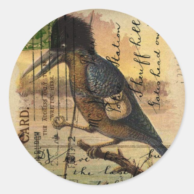 Postcard Kingfisher Classic Round Sticker (Front)