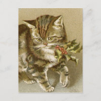 Postcard:  Kitty with Holly Sprig
