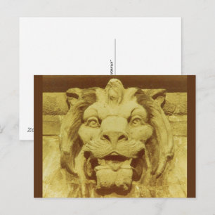 Postcard - Lions Head