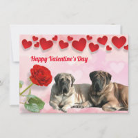 postcard Mastiff Valentine's Day