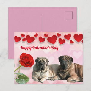 postcard Mastiff Valentine's Day